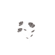 DARK PEAK ARTS